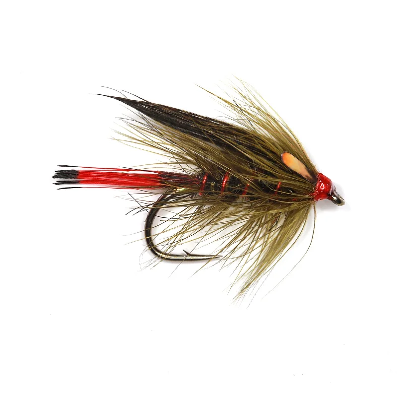 Fishing tackle compact stand-Red Ribbed Sooty Olive