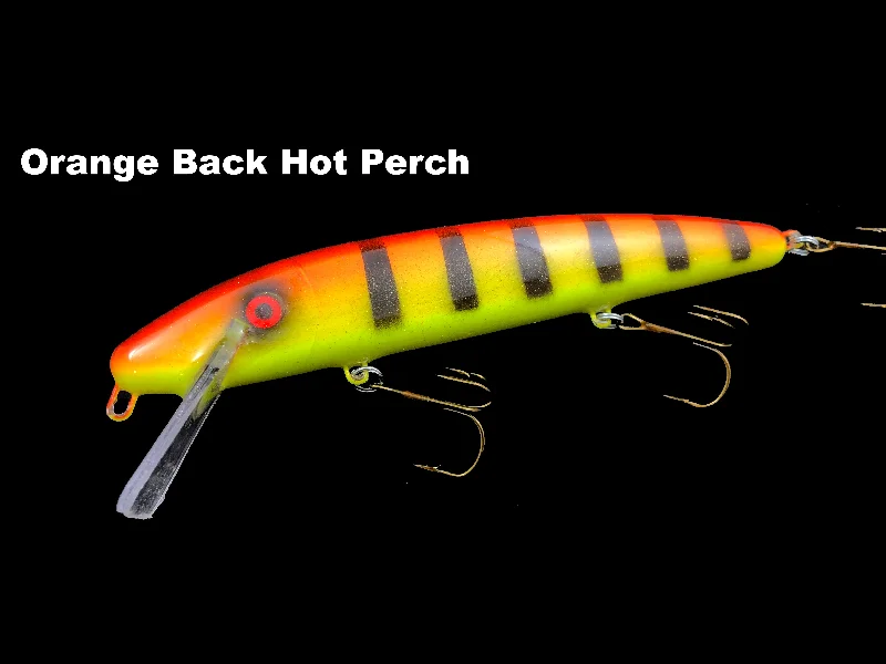 Orange Back Hot Perch (TRO Exclusive)*