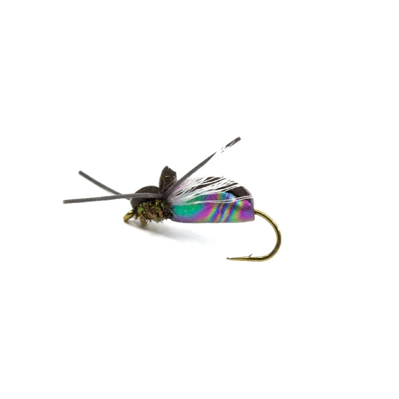 Fishing rod locking holder-Flying Loco Beetle