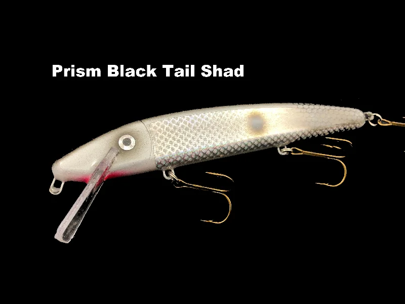 Prism Black Tail Shad (TRO Exclusive)