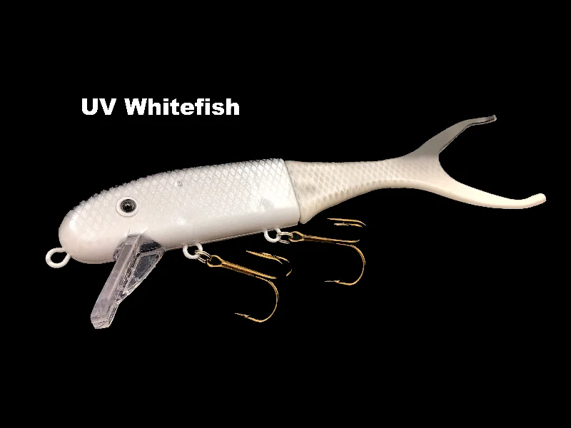 UV Whitefish