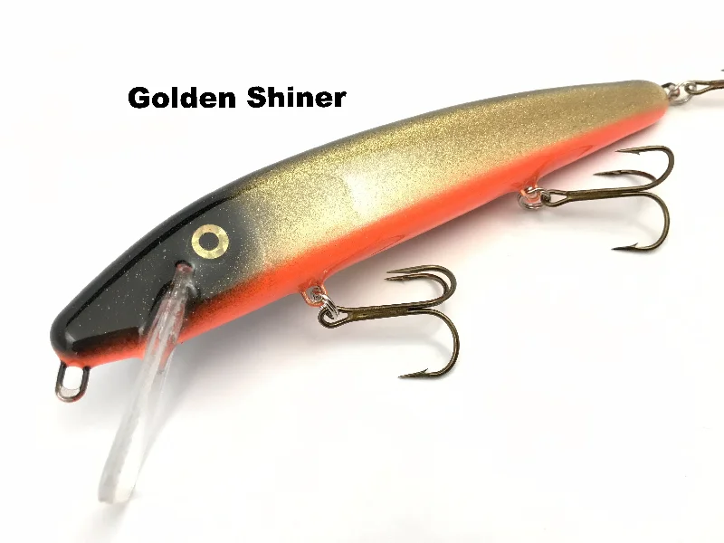 Golden Shiner